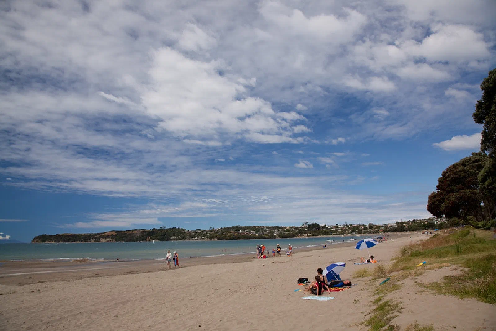 Big Manly Beach, Whangaparāoa